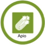 Apio