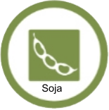 Soja